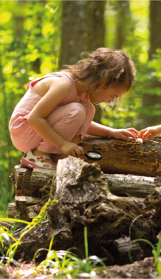 Niña de 4 años explorando el exterior